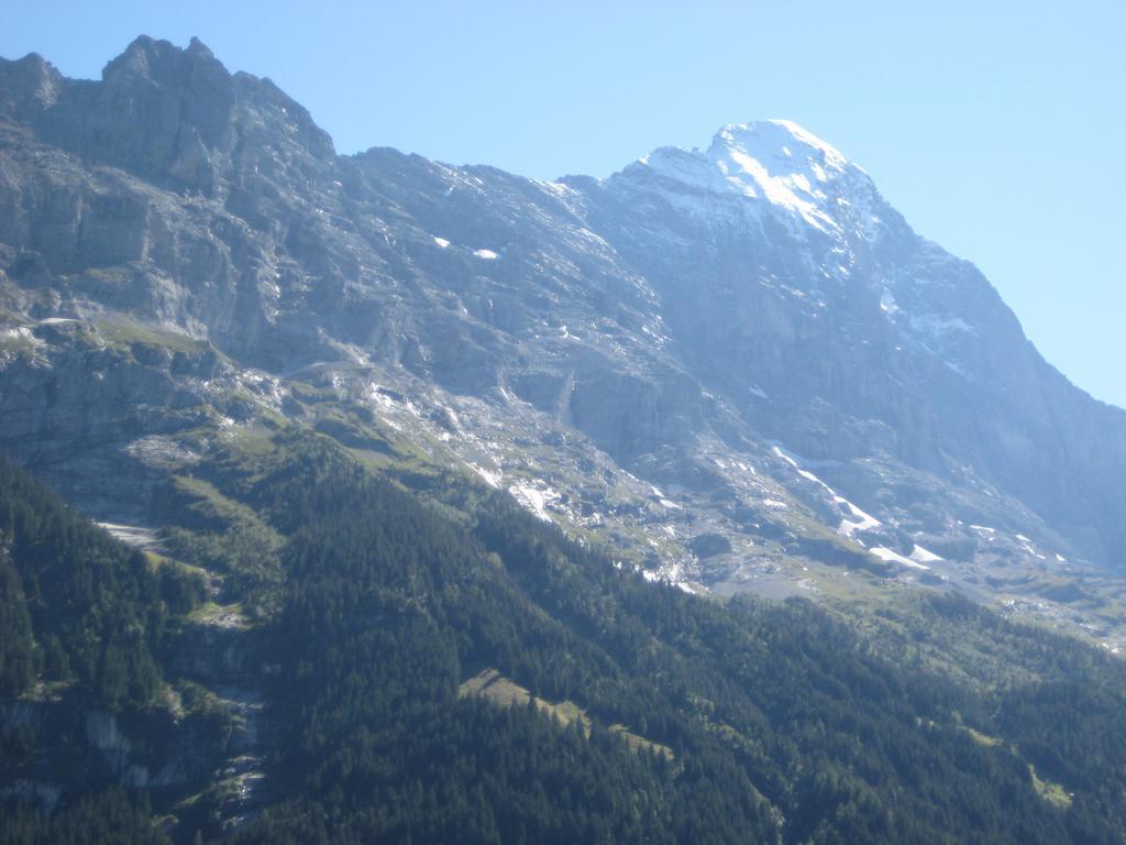 Hotel Alte Post Grindelwald Extérieur photo